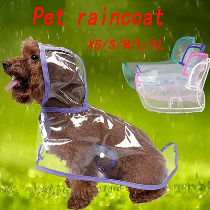 Dog Transparent Pet Raincoat