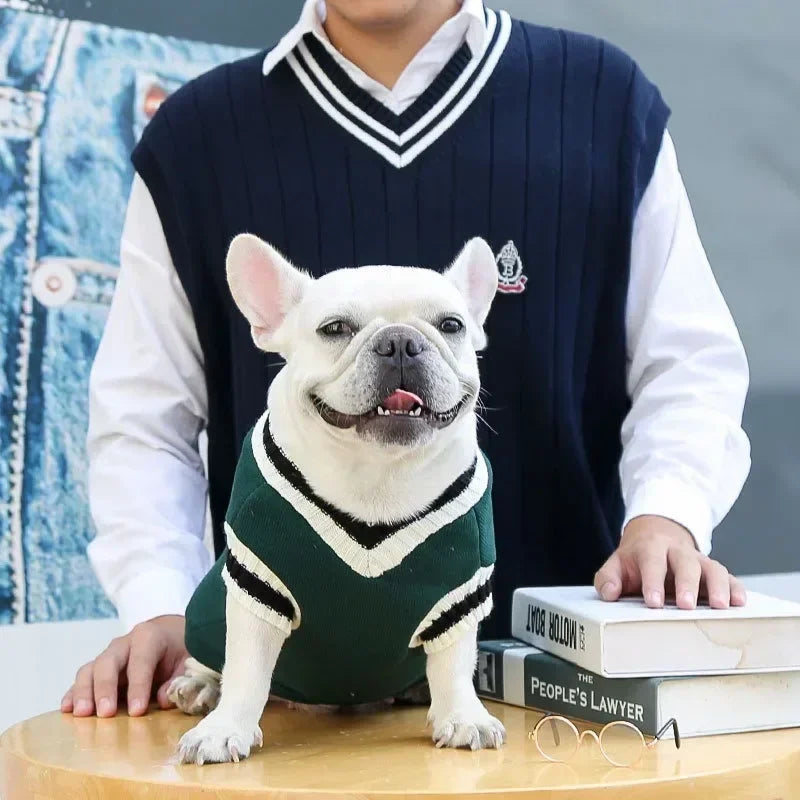 Dog Sweater College Style