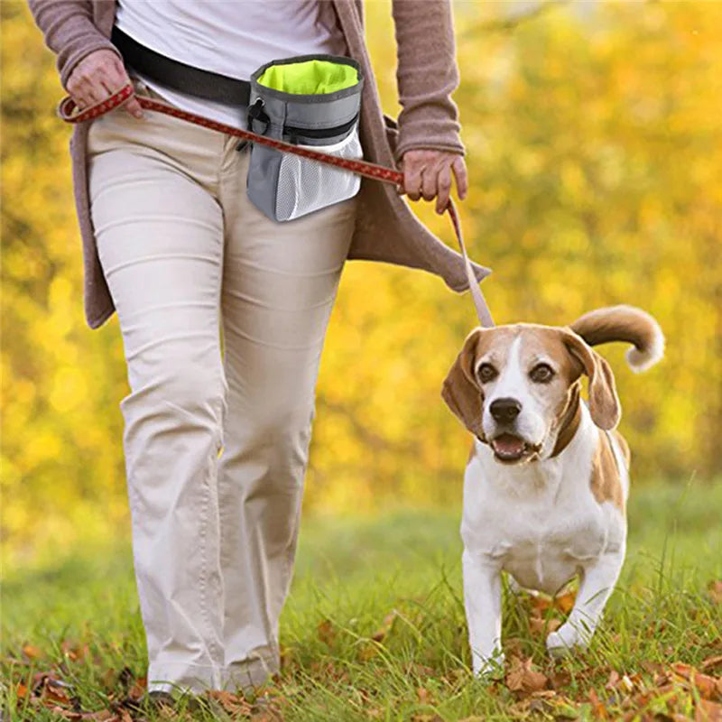 Dog Snack Potty Bag Food Obedience Outdoor Pouch