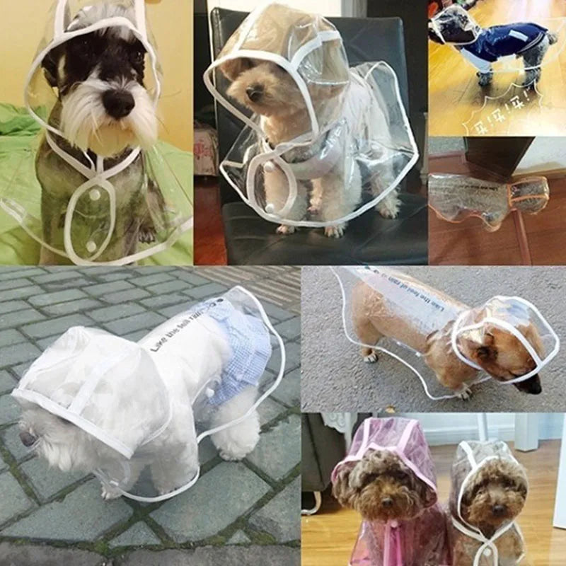 Dog Transparent Pet Raincoat